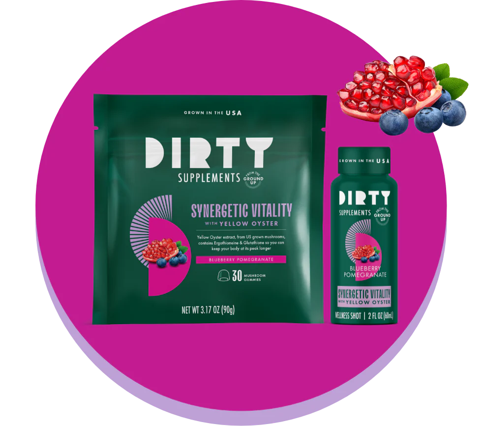 The DIRTY Supplements Synergetic Vitality Bundle