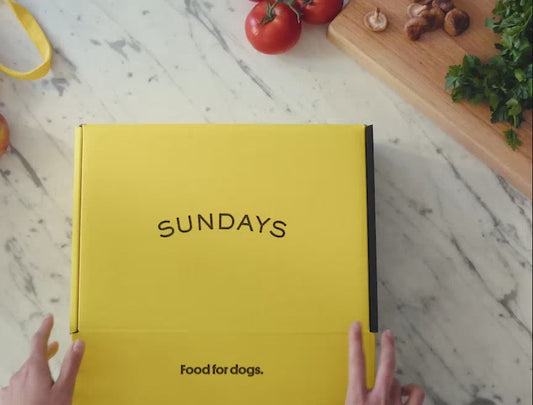 Sundays for Dogs Dog Food